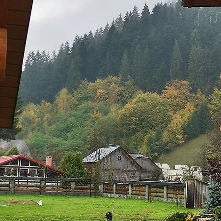 Casa De Poveste Sucevita Dış mekan fotoğraf